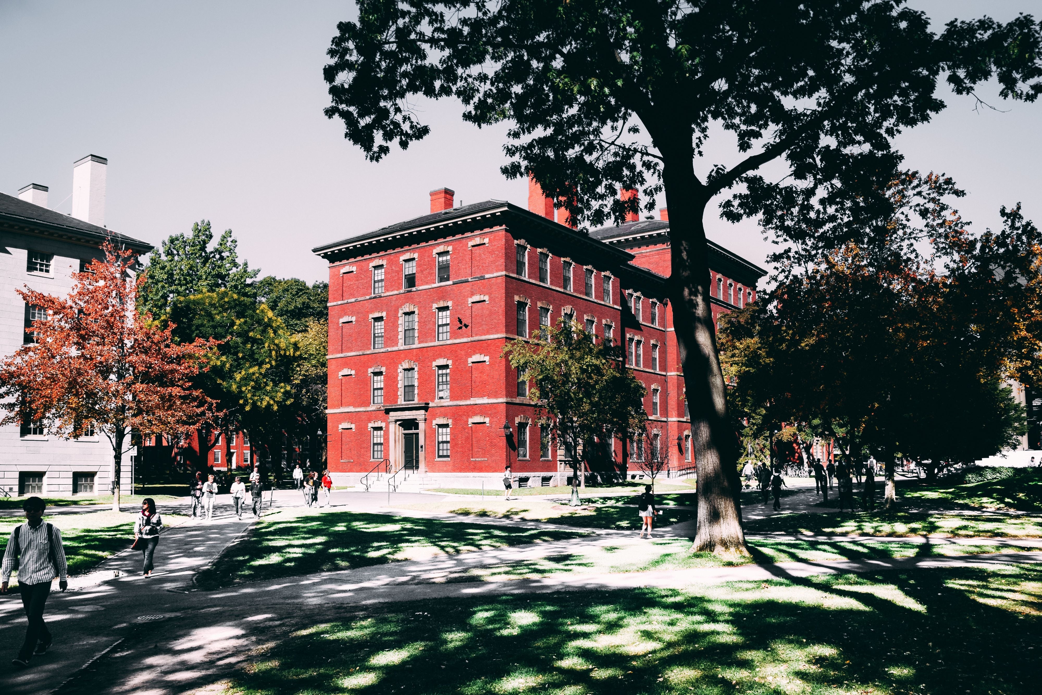 Sorority Situation - 4 Tips on Living in a Fraternity or Sorority House
