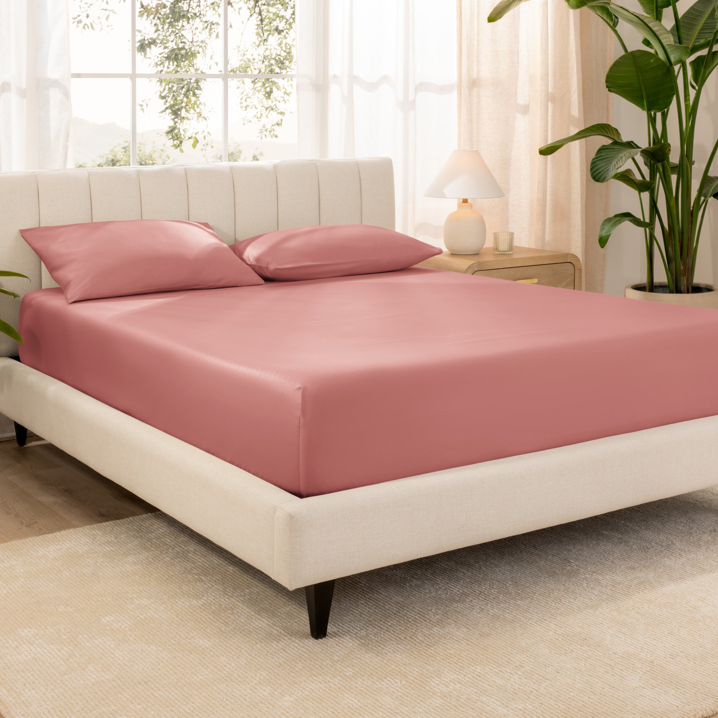 Organic cotton fitted sheet on a bed in a bedroom with a plant and window in the background