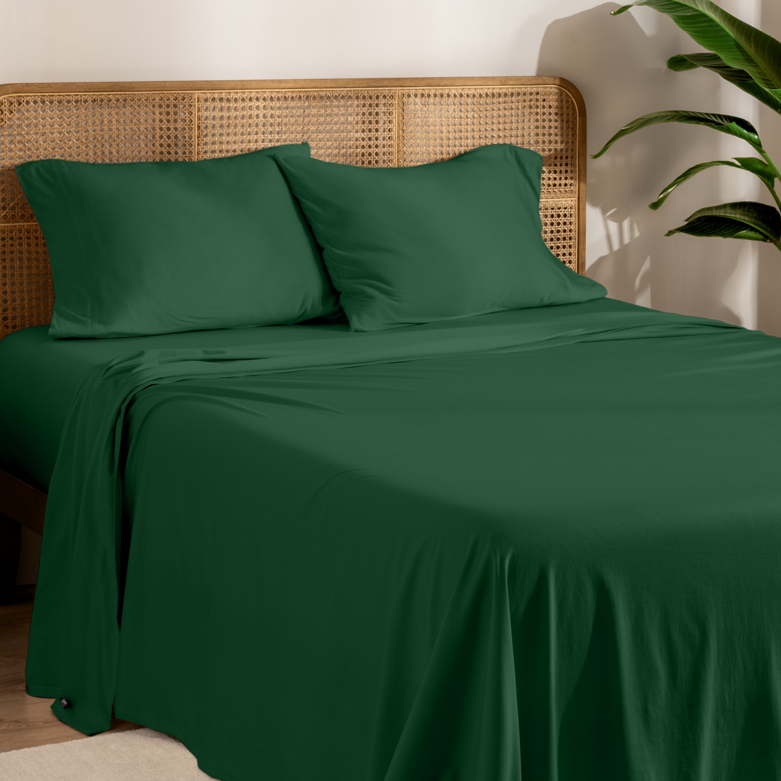 Organic jersey sheets and pillowcases on a bed with plants on the side in a bright and chill room scene.
