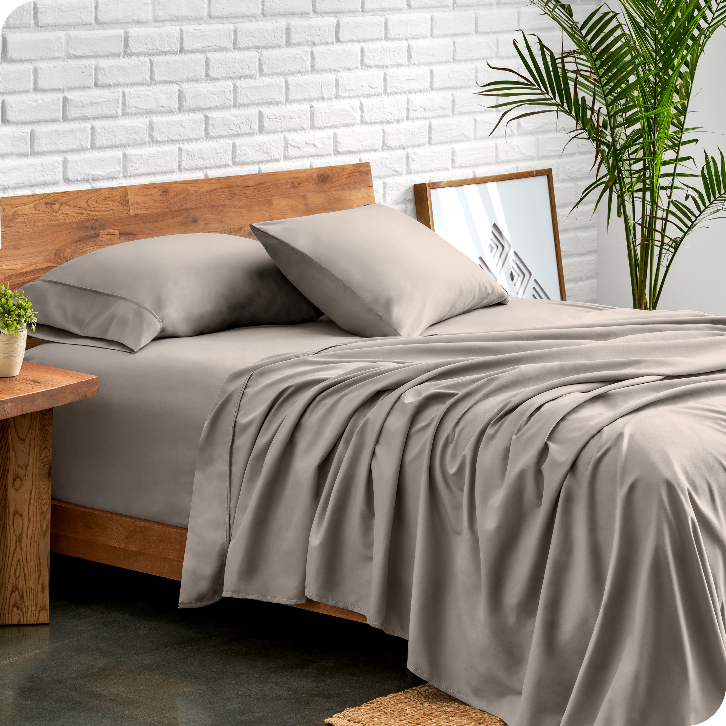 Microfiber sheets and matching pillowcases on a bed next to a large plant