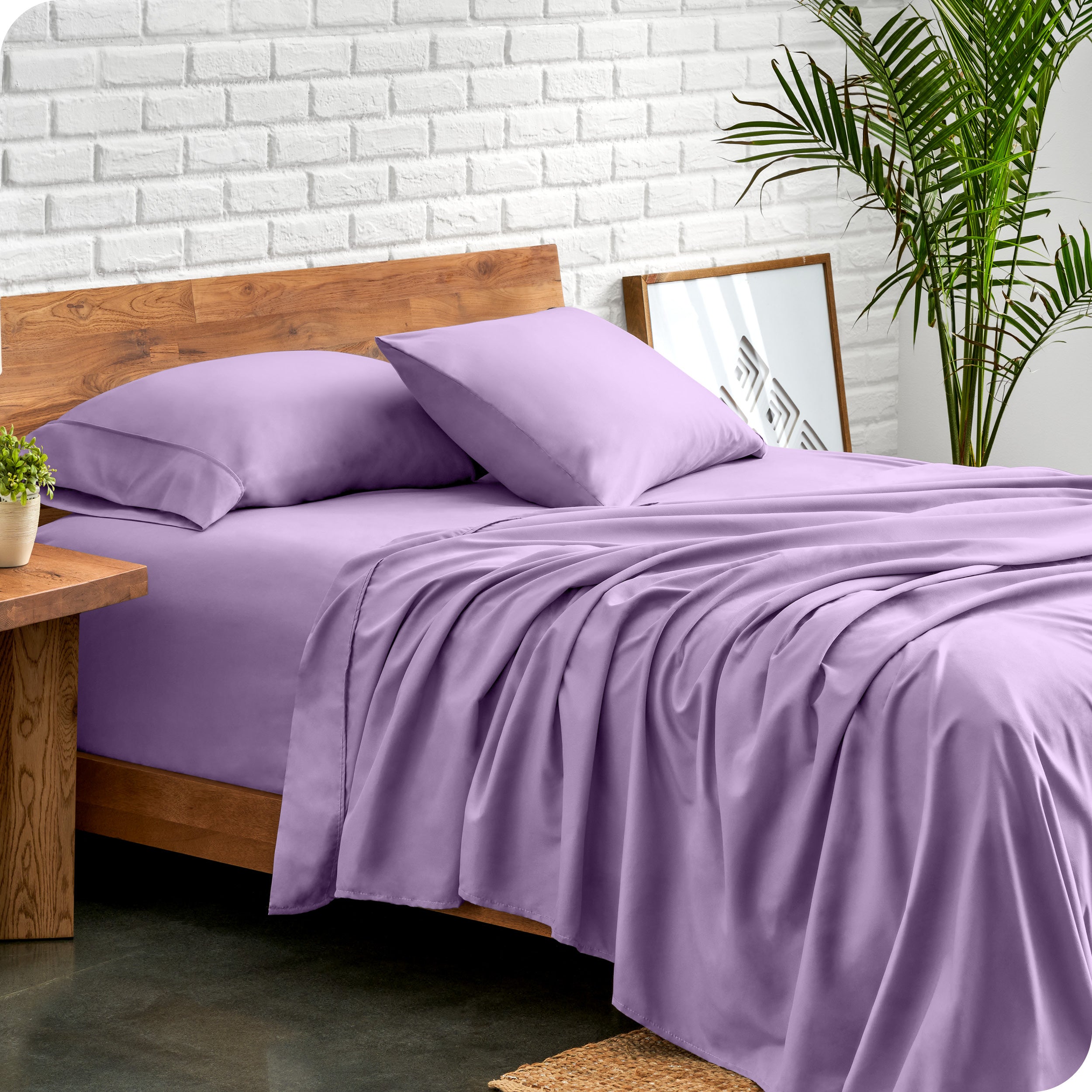 Microfiber sheets and matching pillowcases on a bed next to a large plant