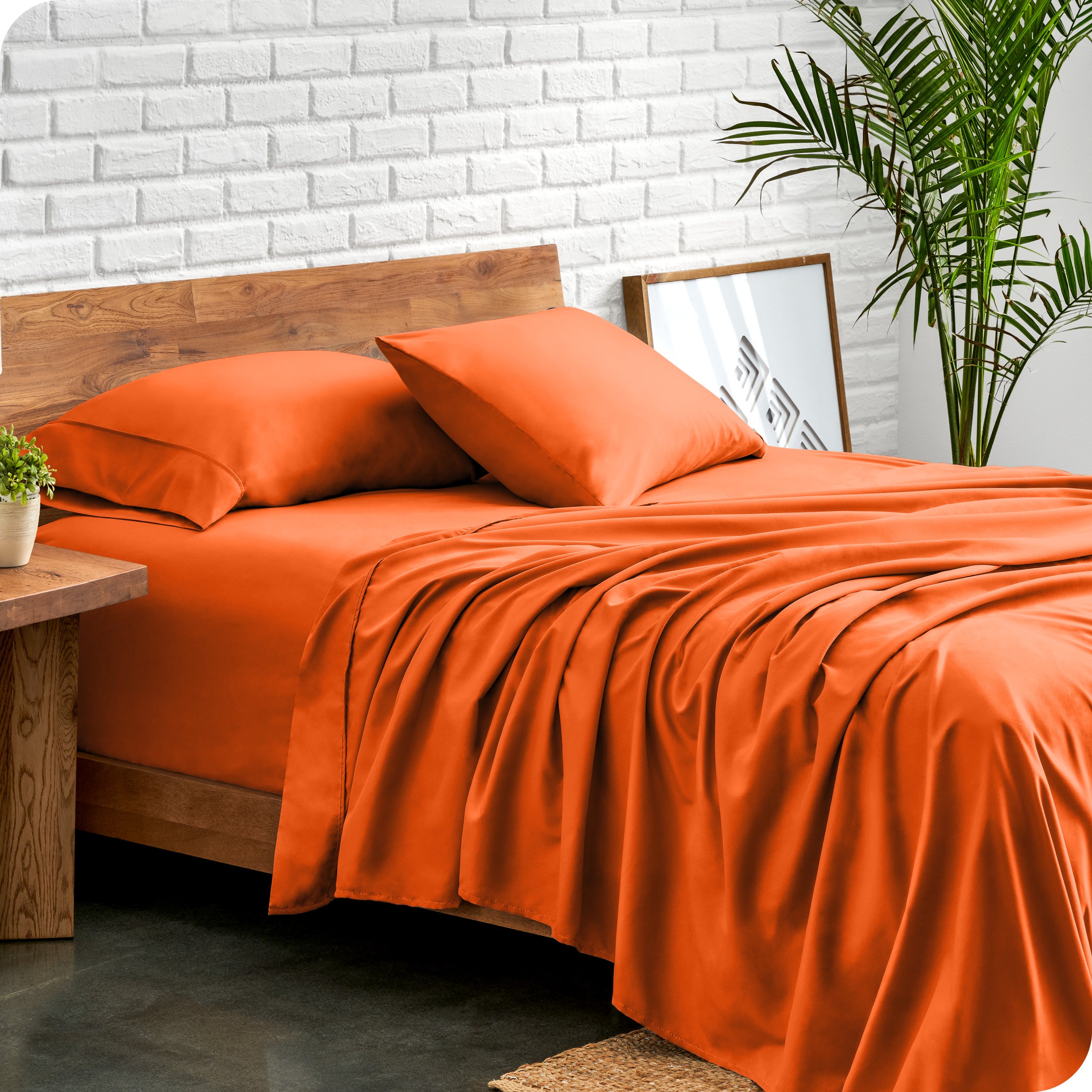 Microfiber sheets and matching pillowcases on a bed next to a large plant