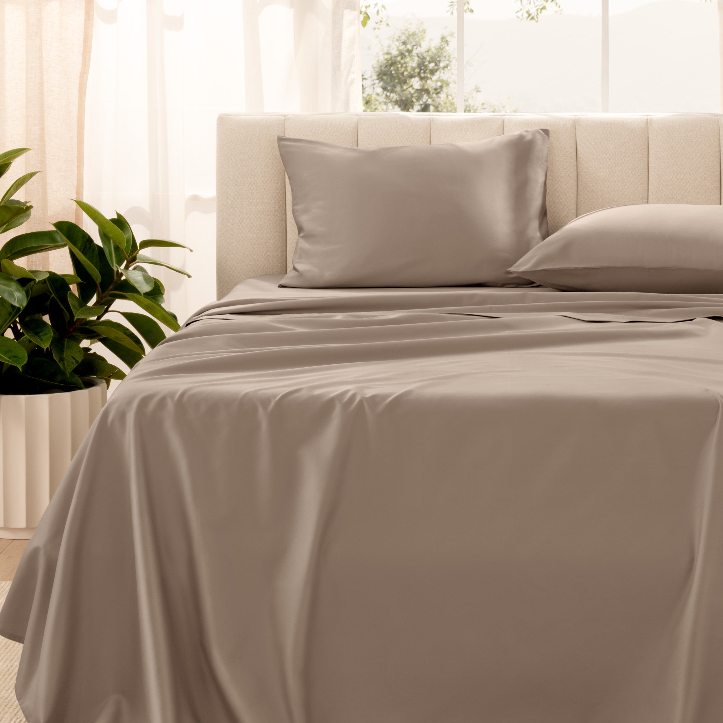 Organic sateen bedding on a bed with a beige headboard and plant in the corner.
