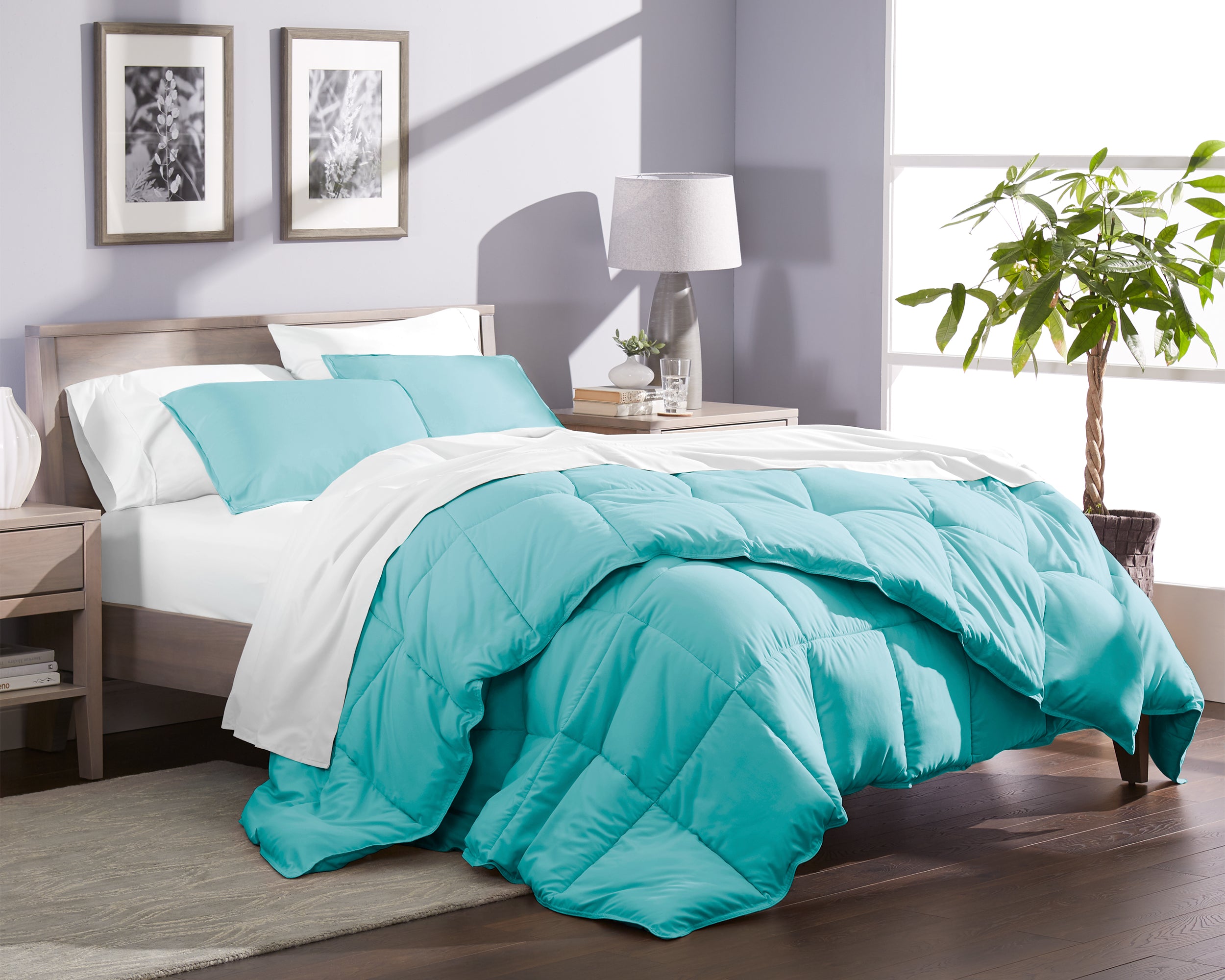 Extra Long Twin Beds For Long Legs