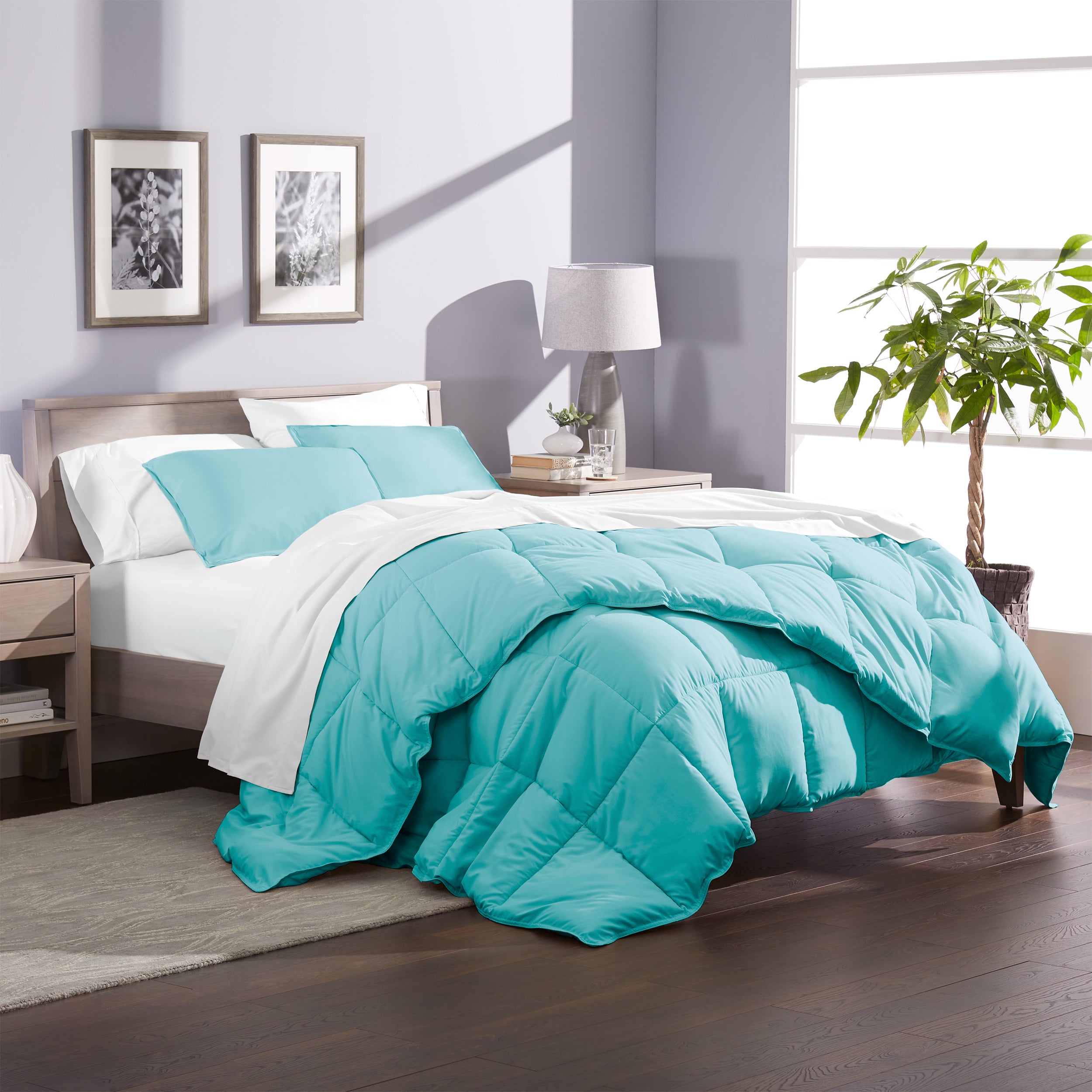 Extra Long Twin Beds For Long Legs