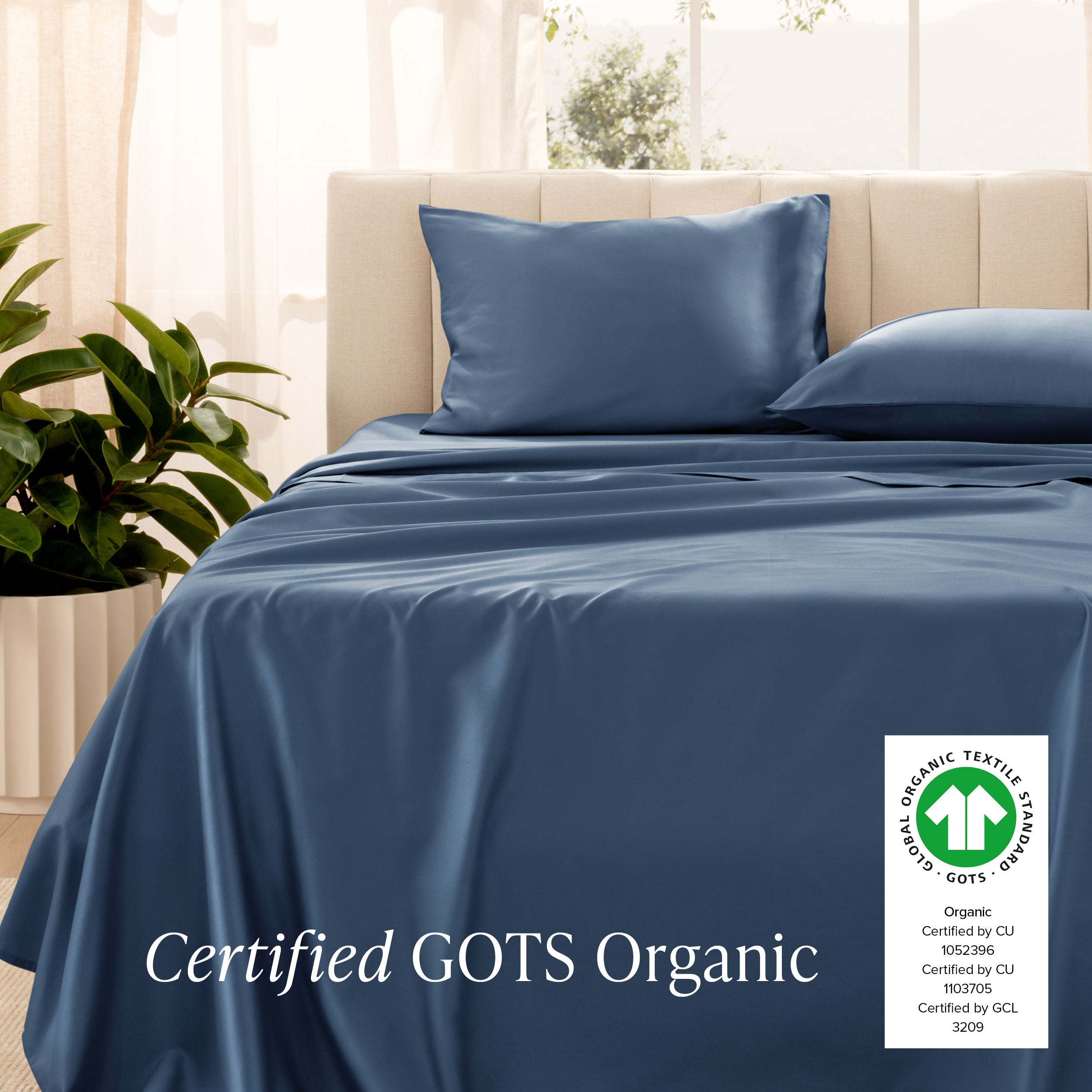Certified GOTS Organic sheet set