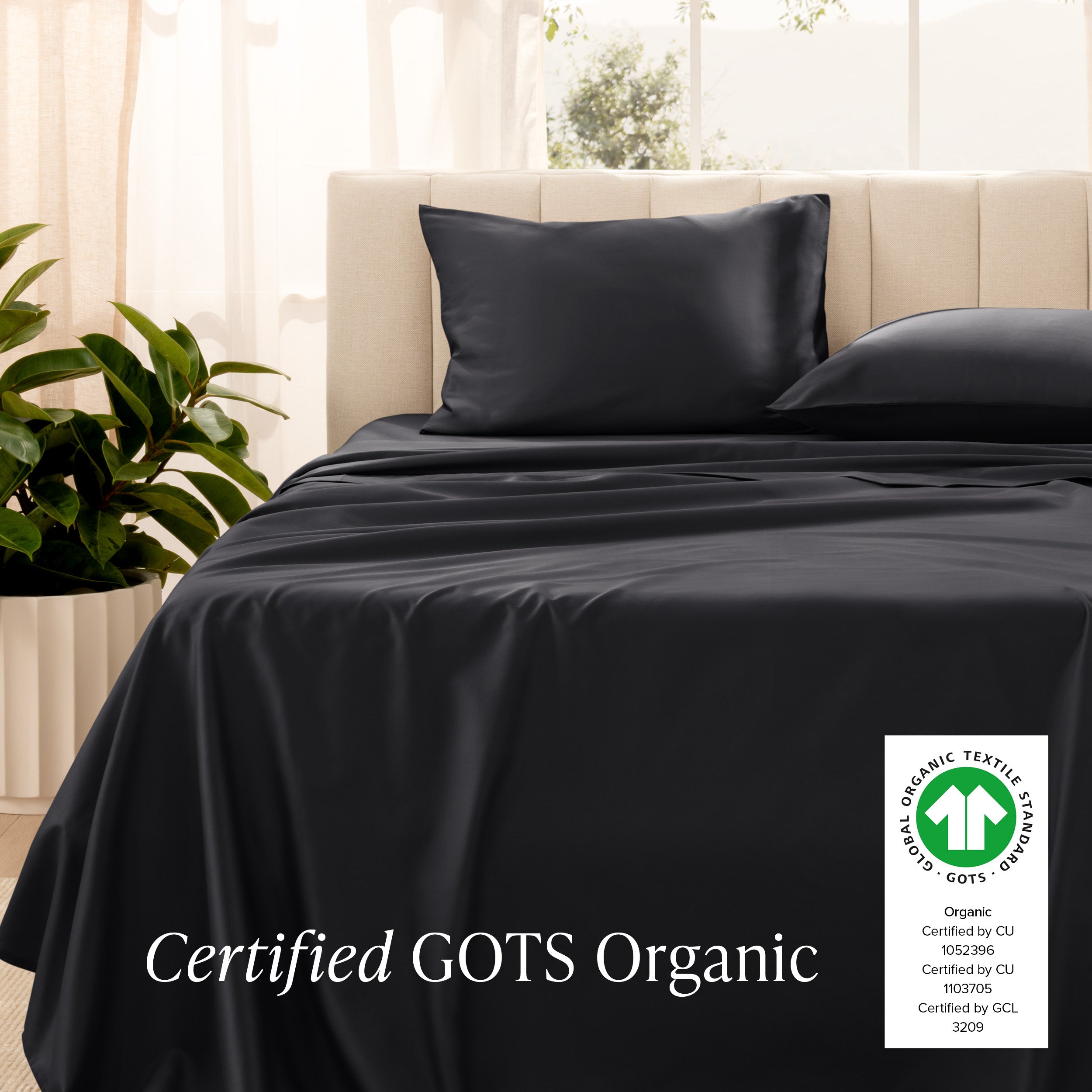 Certified GOTS Organic sheet set