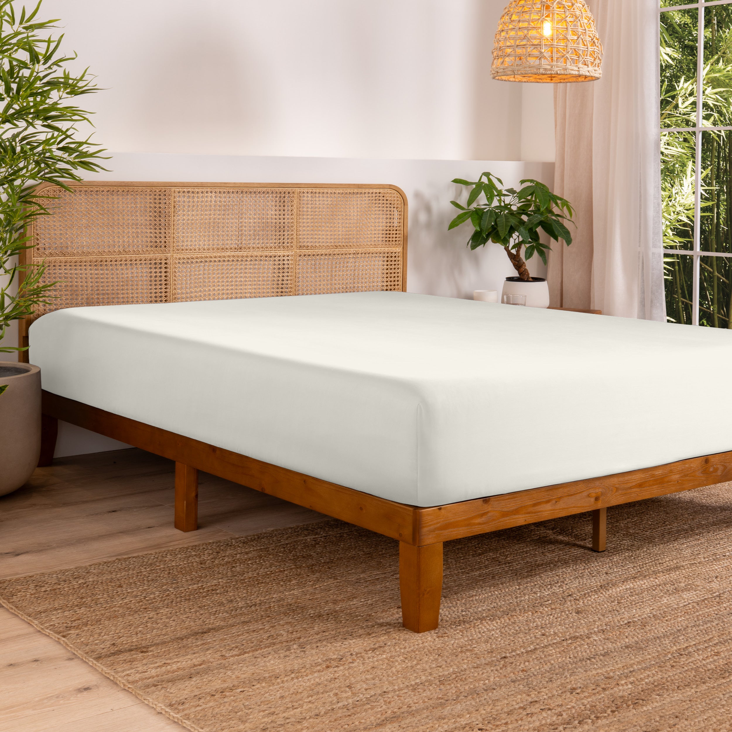 Bed with fitted sheet in a bedroom setting with plants and a lamp.