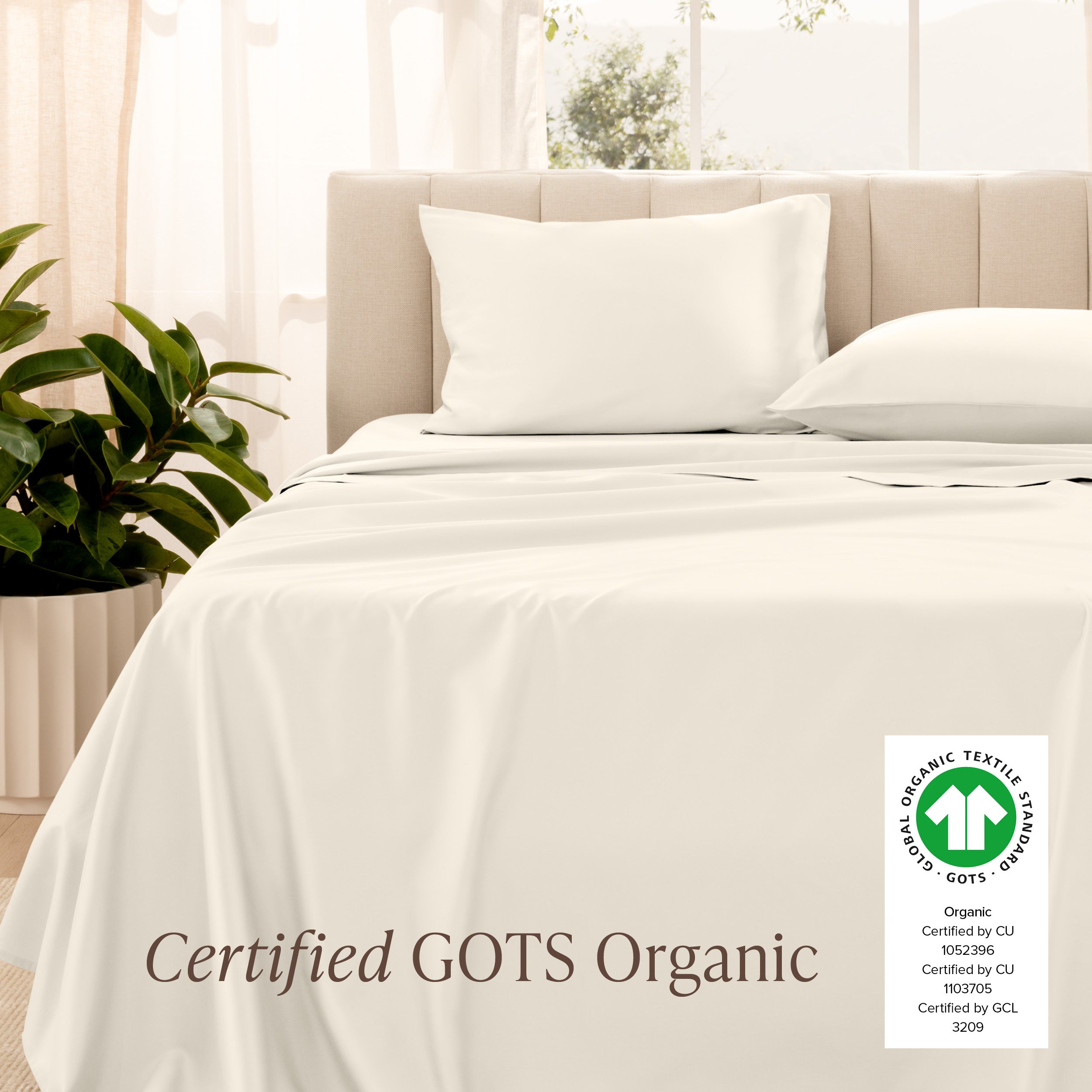 Certified GOTS Organic sheet set