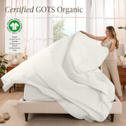 Organic Cotton Percale Sheet Set - Twin XL