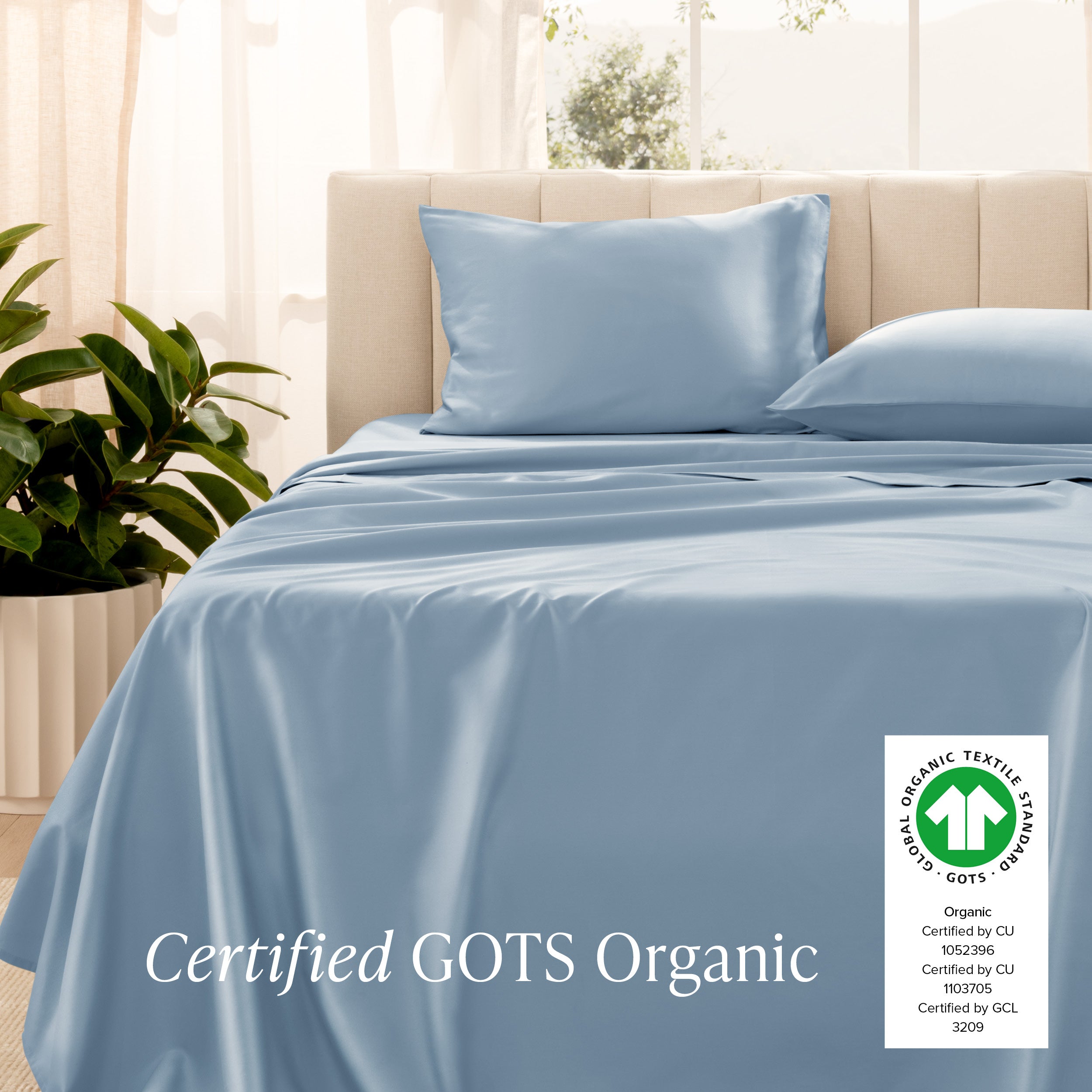 Certified GOTS Organic sheet set