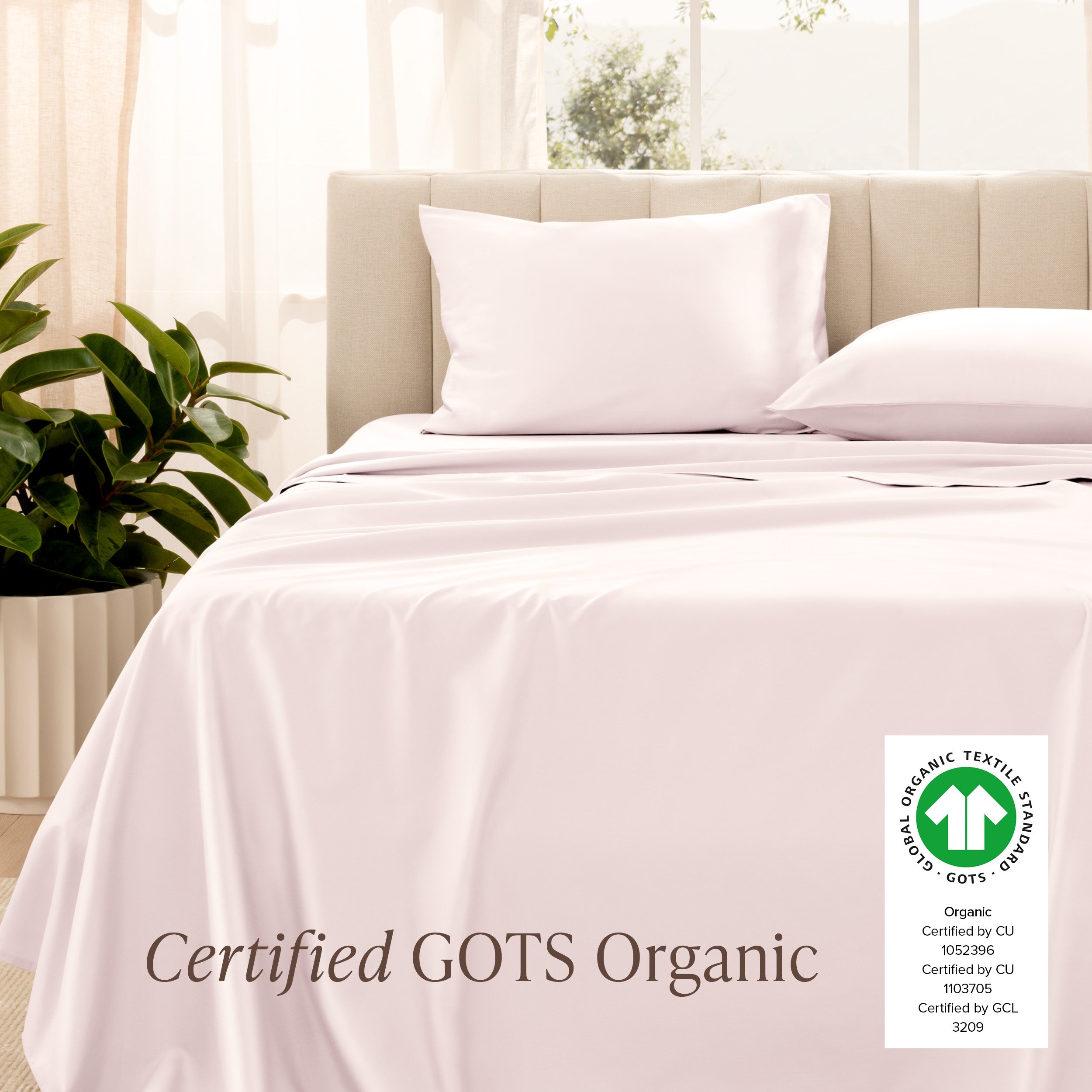 Certified GOTS Organic sheet set