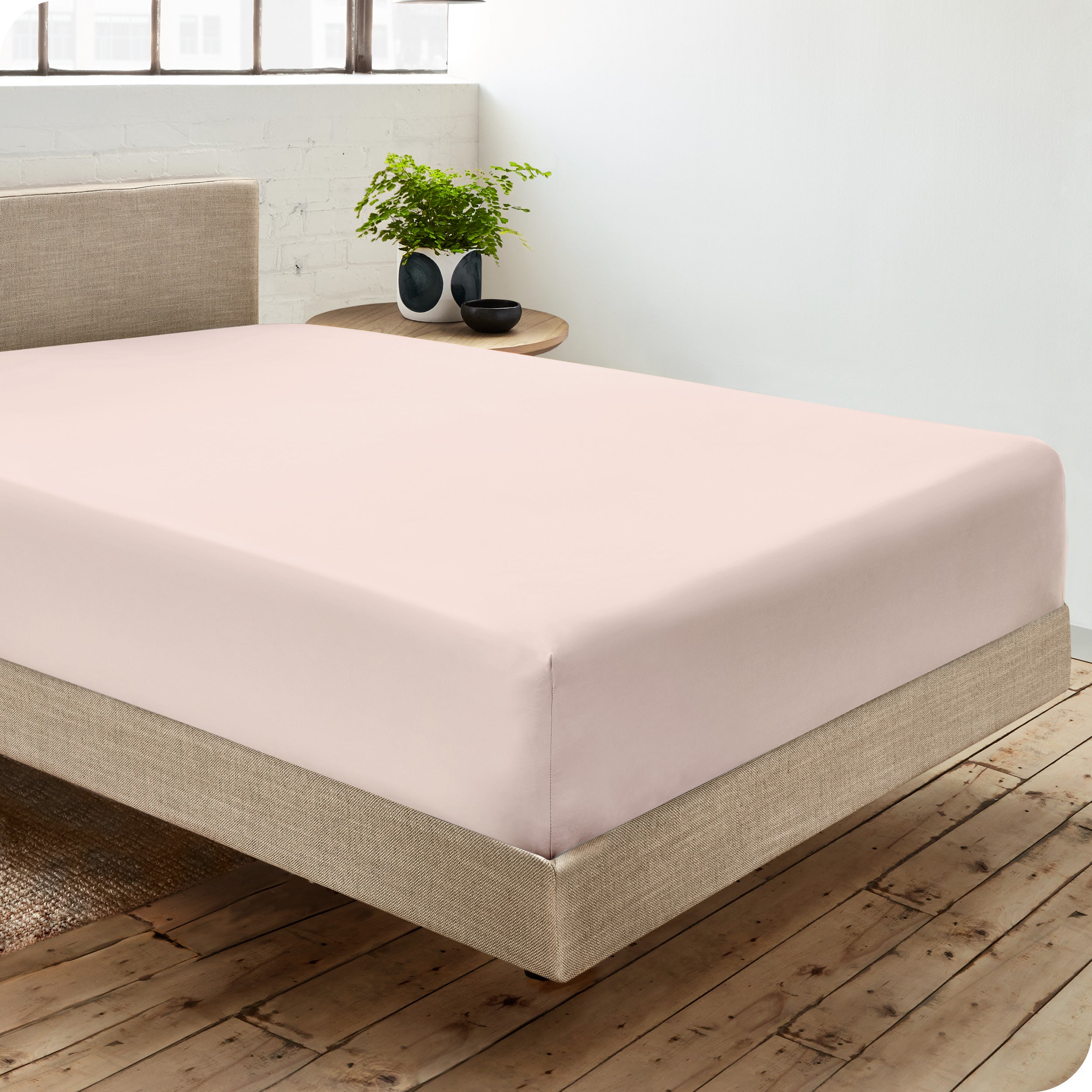 A single organic cotton fitted sheet on a bed