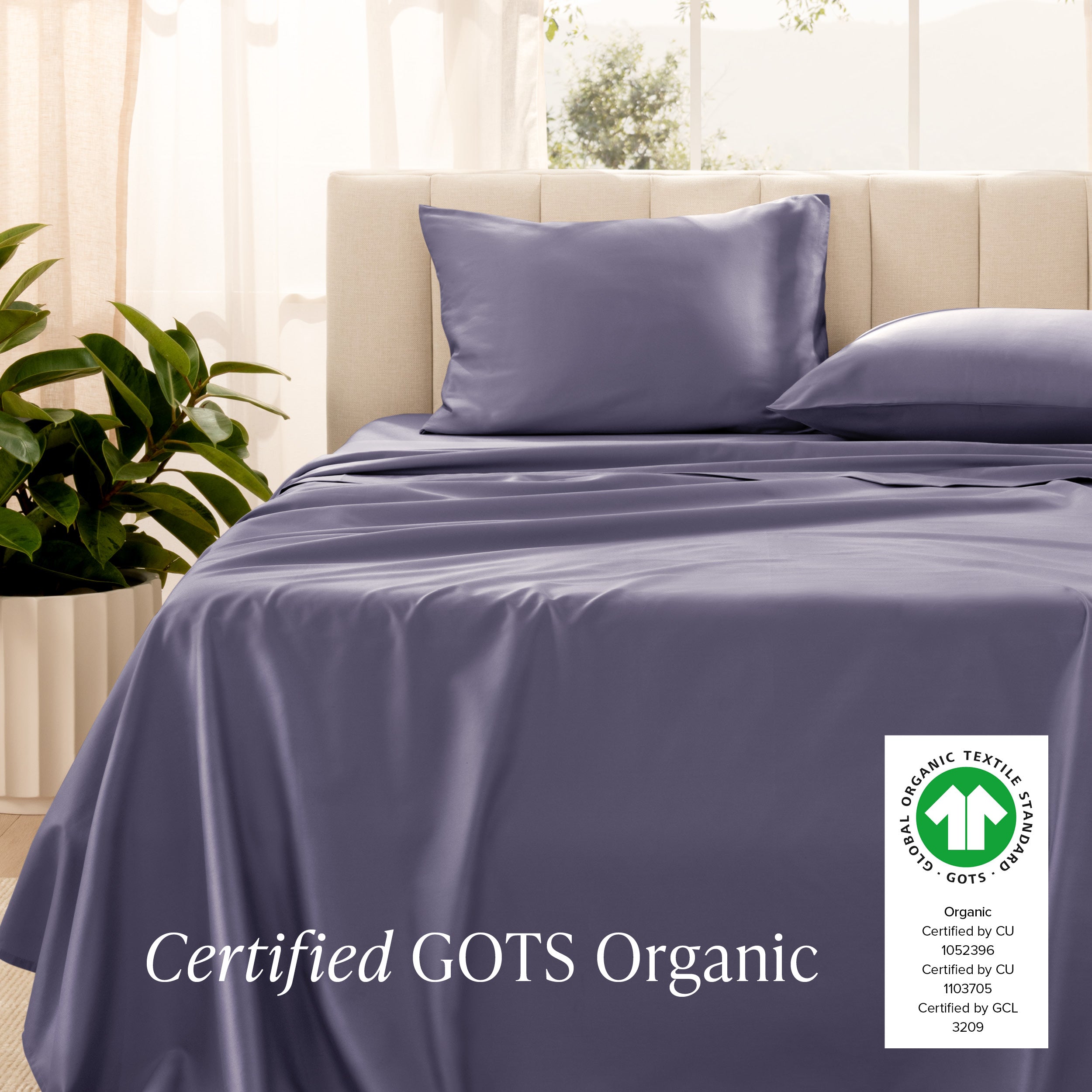 Certified GOTS Organic sheet set