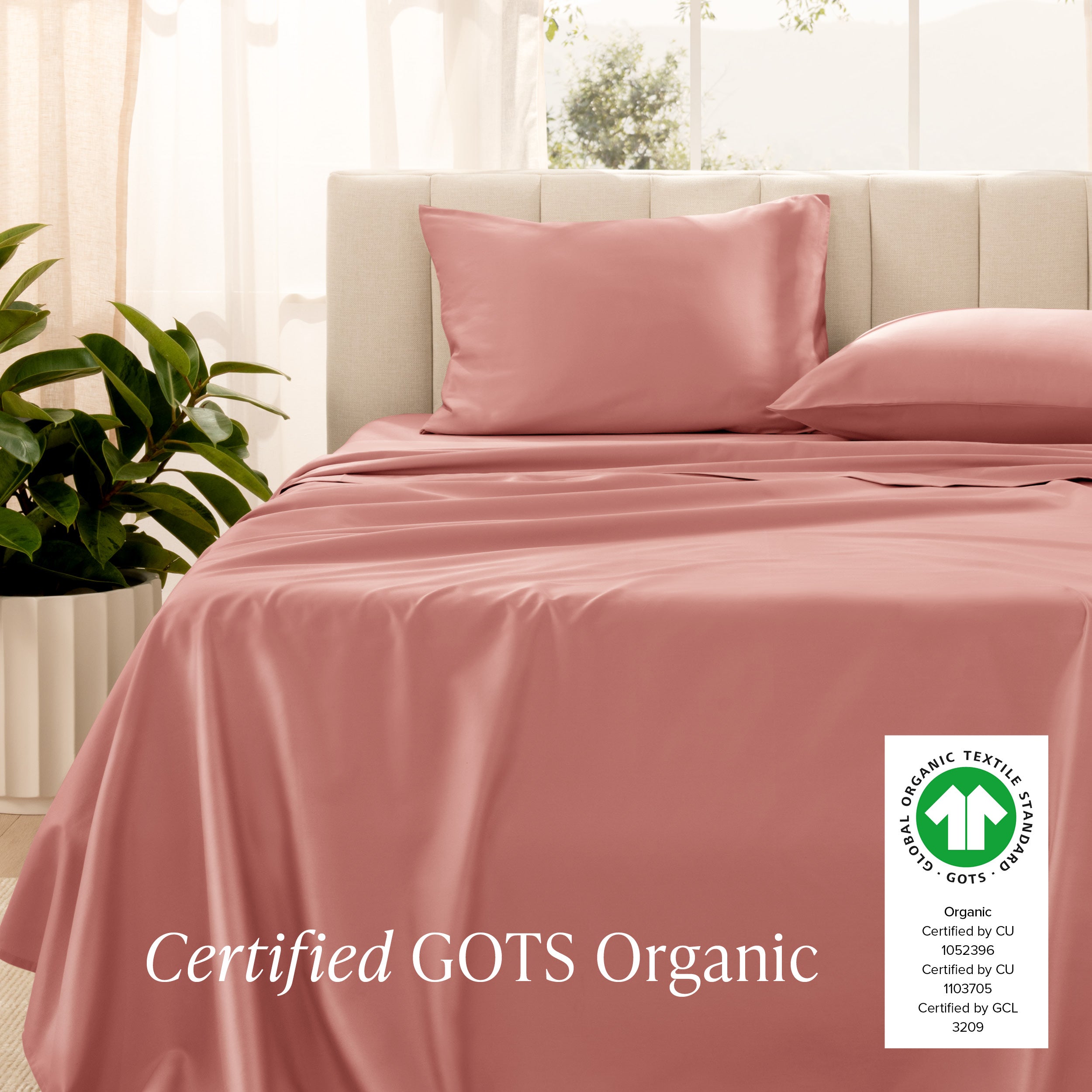 Certified GOTS Organic sheet set