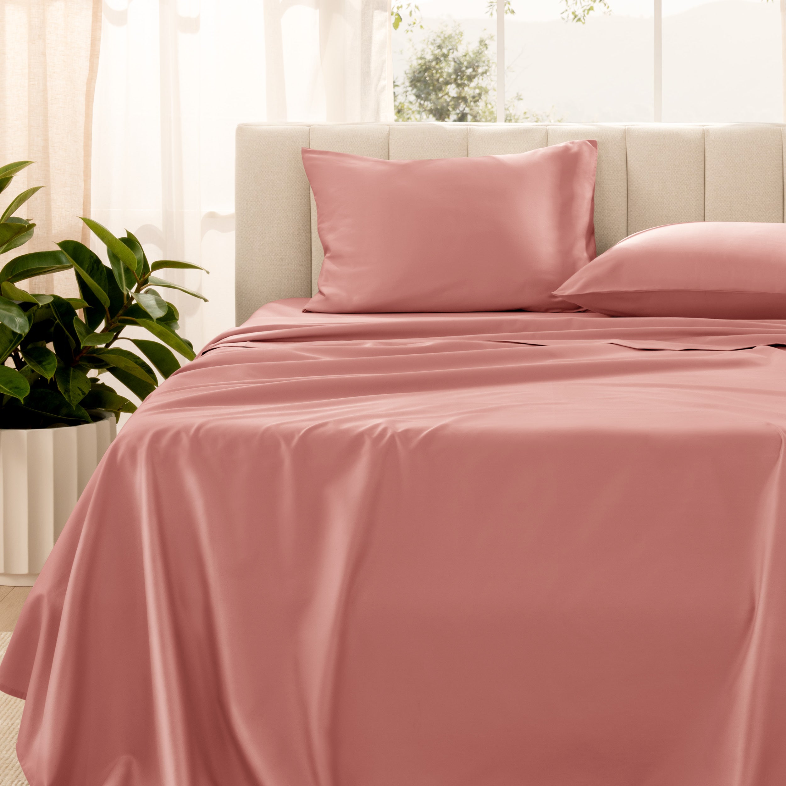 Organic sateen bedding on a bed with a beige headboard and plant in the corner.
