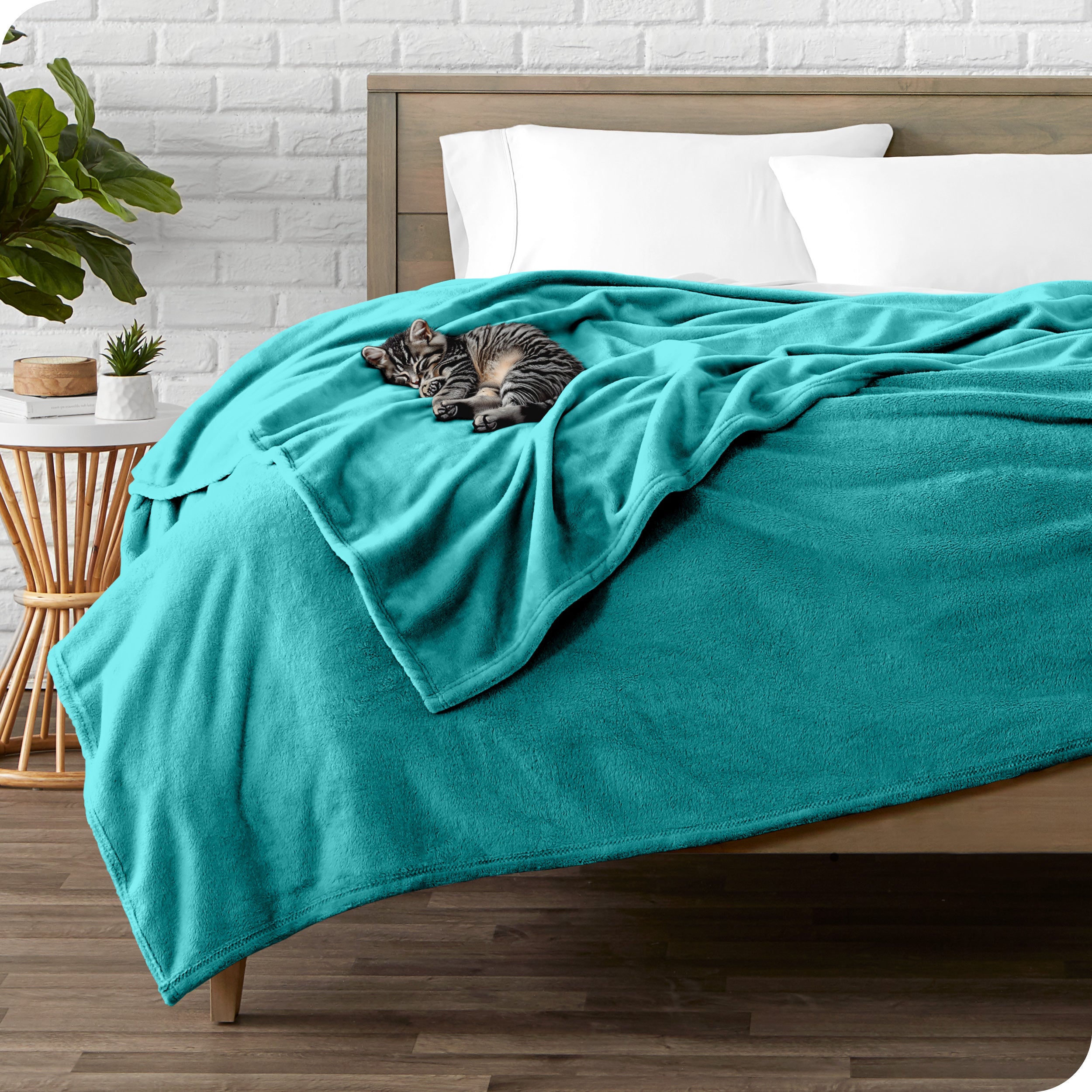 Microplush blanket laid out over a bed and folded back over itself