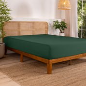 Bed with fitted sheet in a bedroom setting with plants and a lamp.