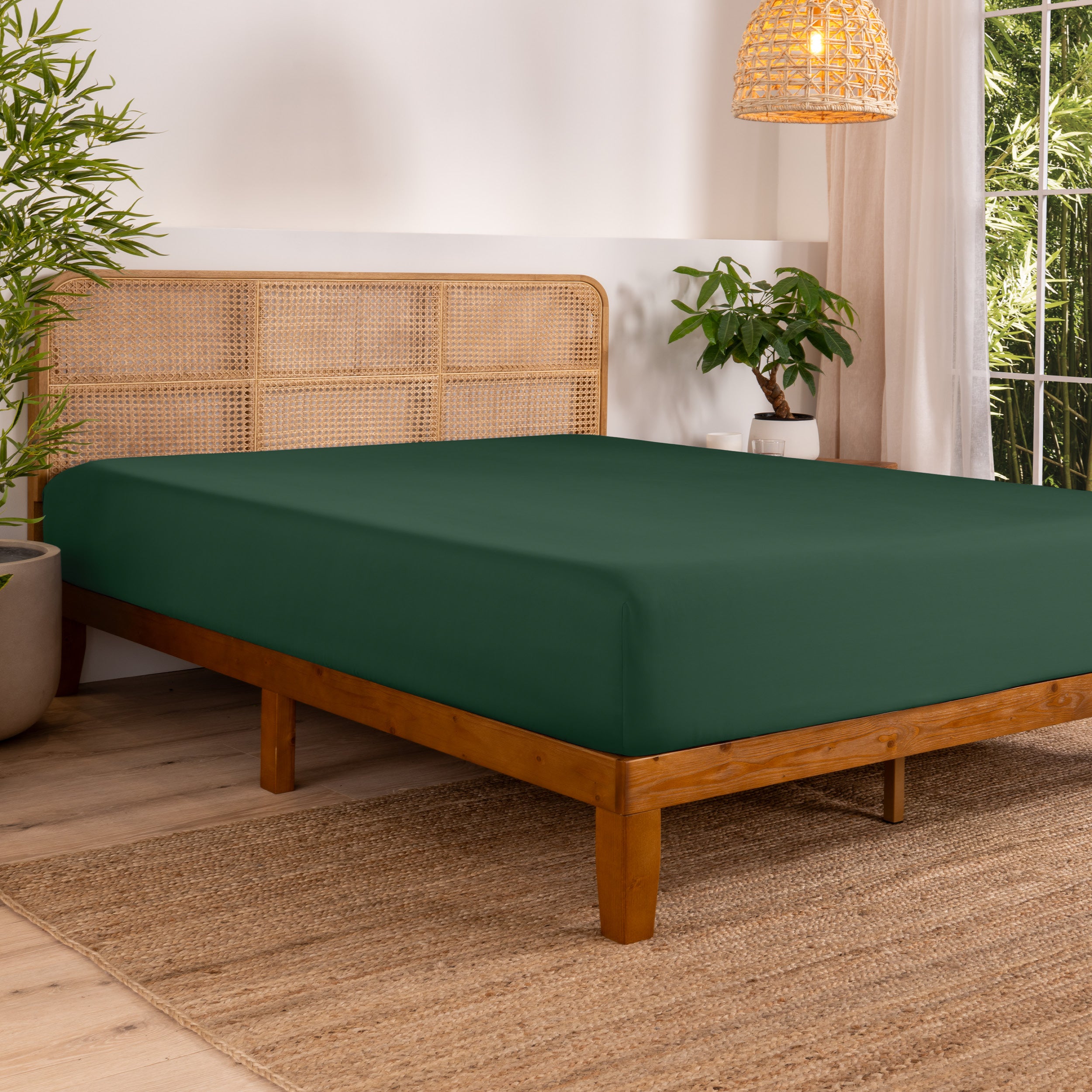 Bed with fitted sheet in a bedroom setting with plants and a lamp.