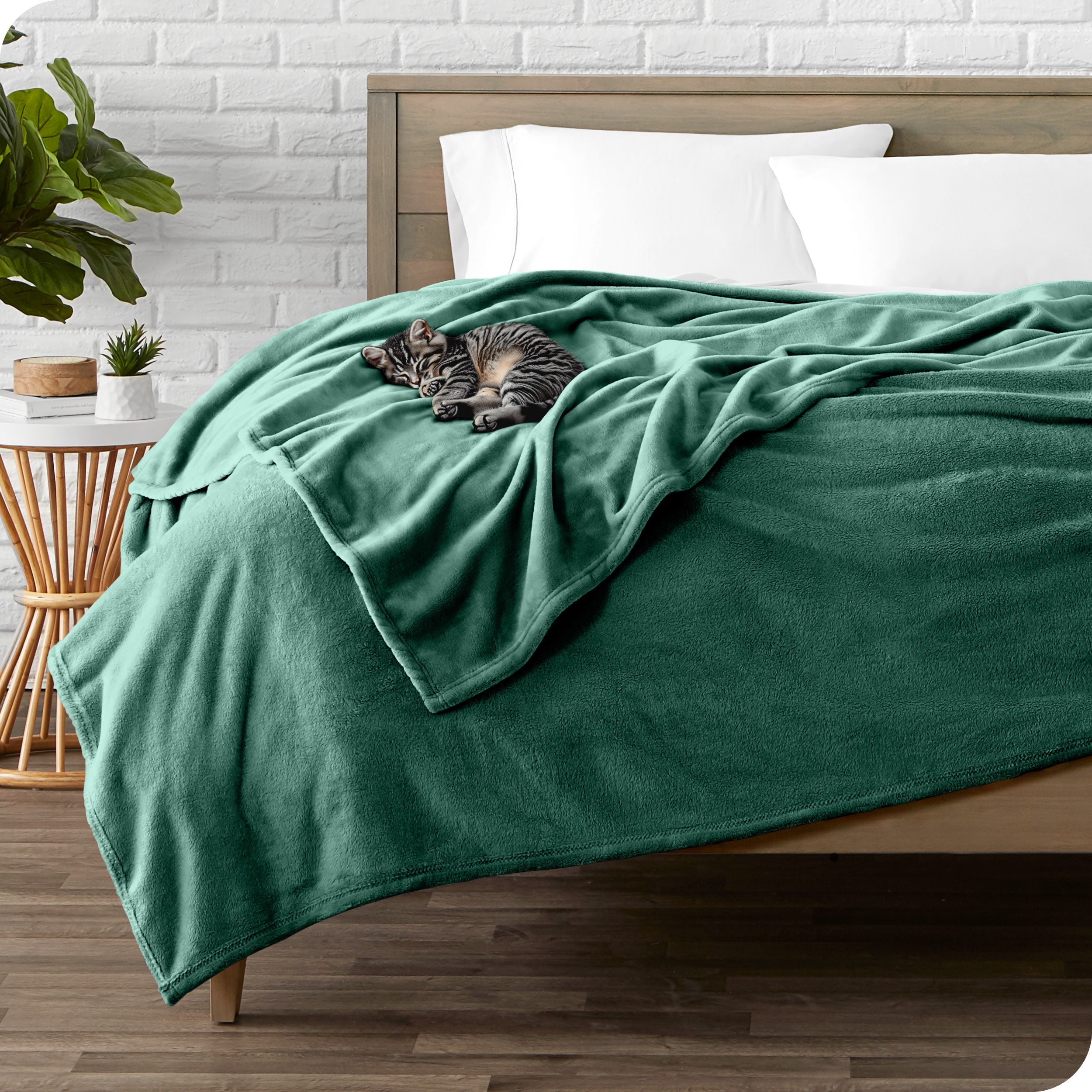Microplush blanket laid out over a bed and folded back over itself