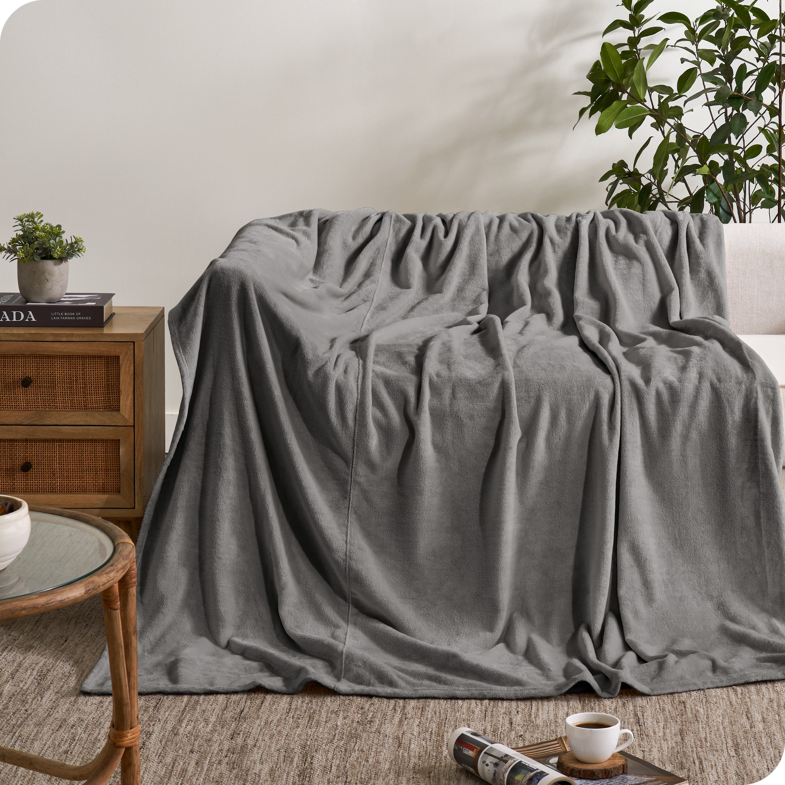 A microplush blanket covering a couch