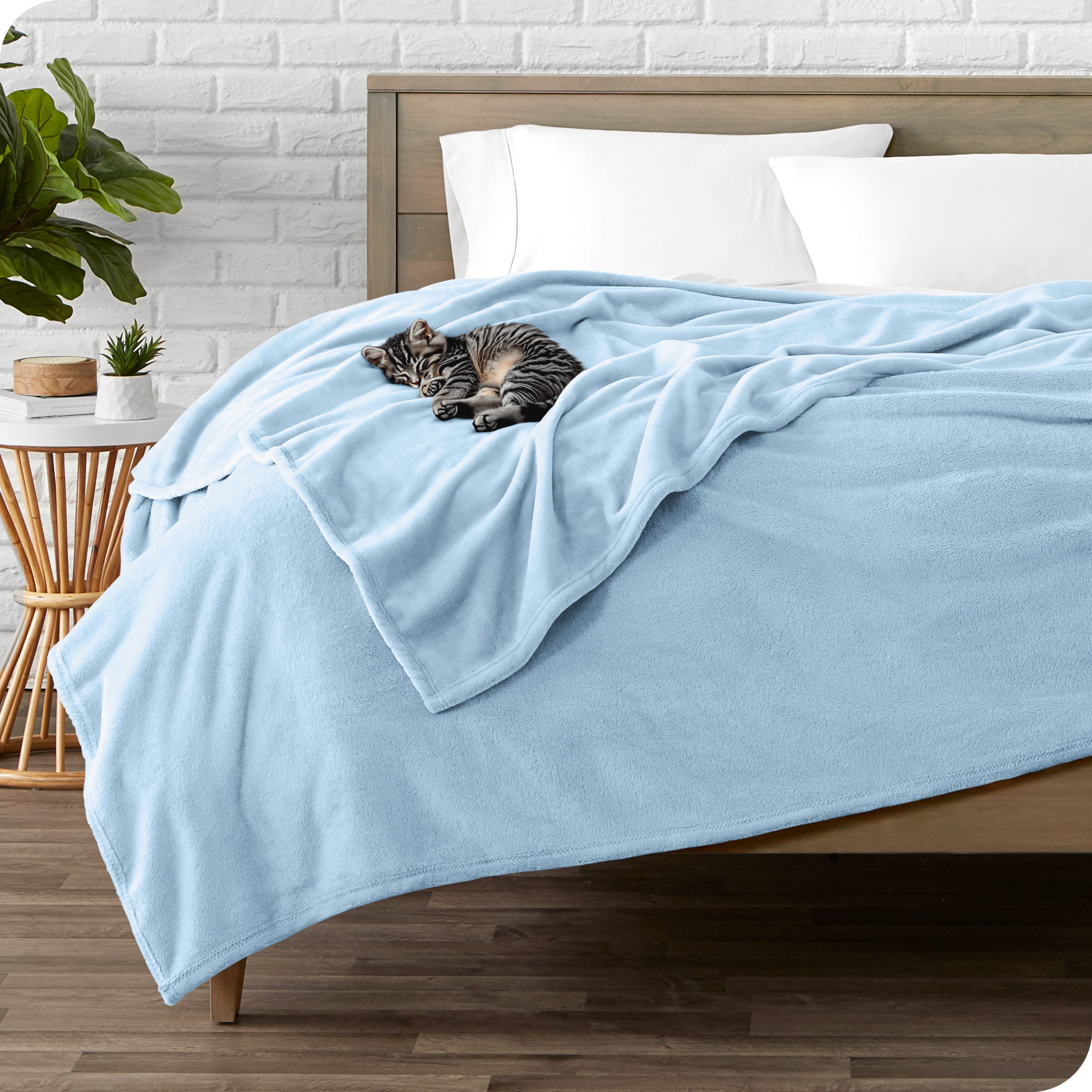 Microplush blanket laid out over a bed and folded back over itself