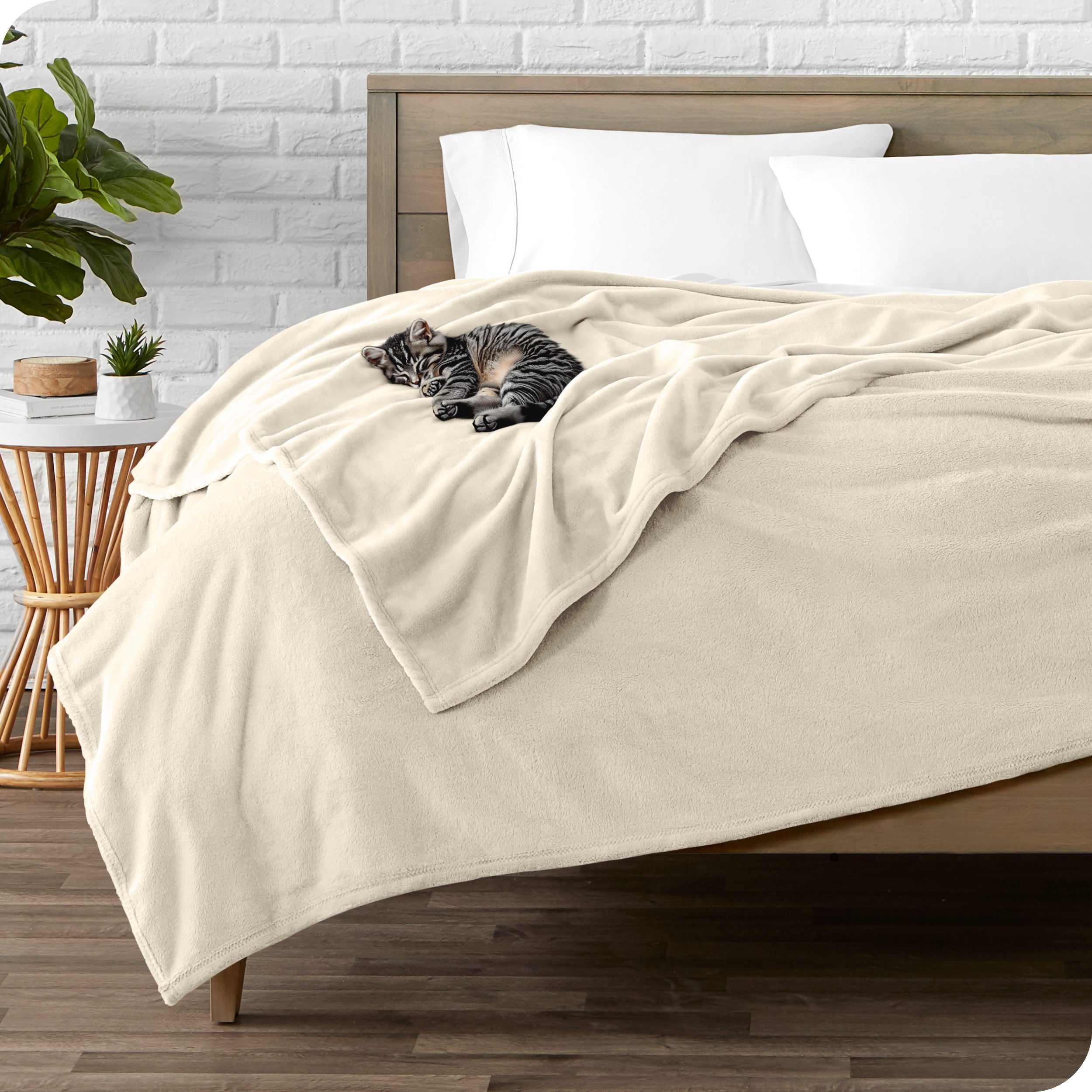 Microplush blanket laid out over a bed and folded back over itself