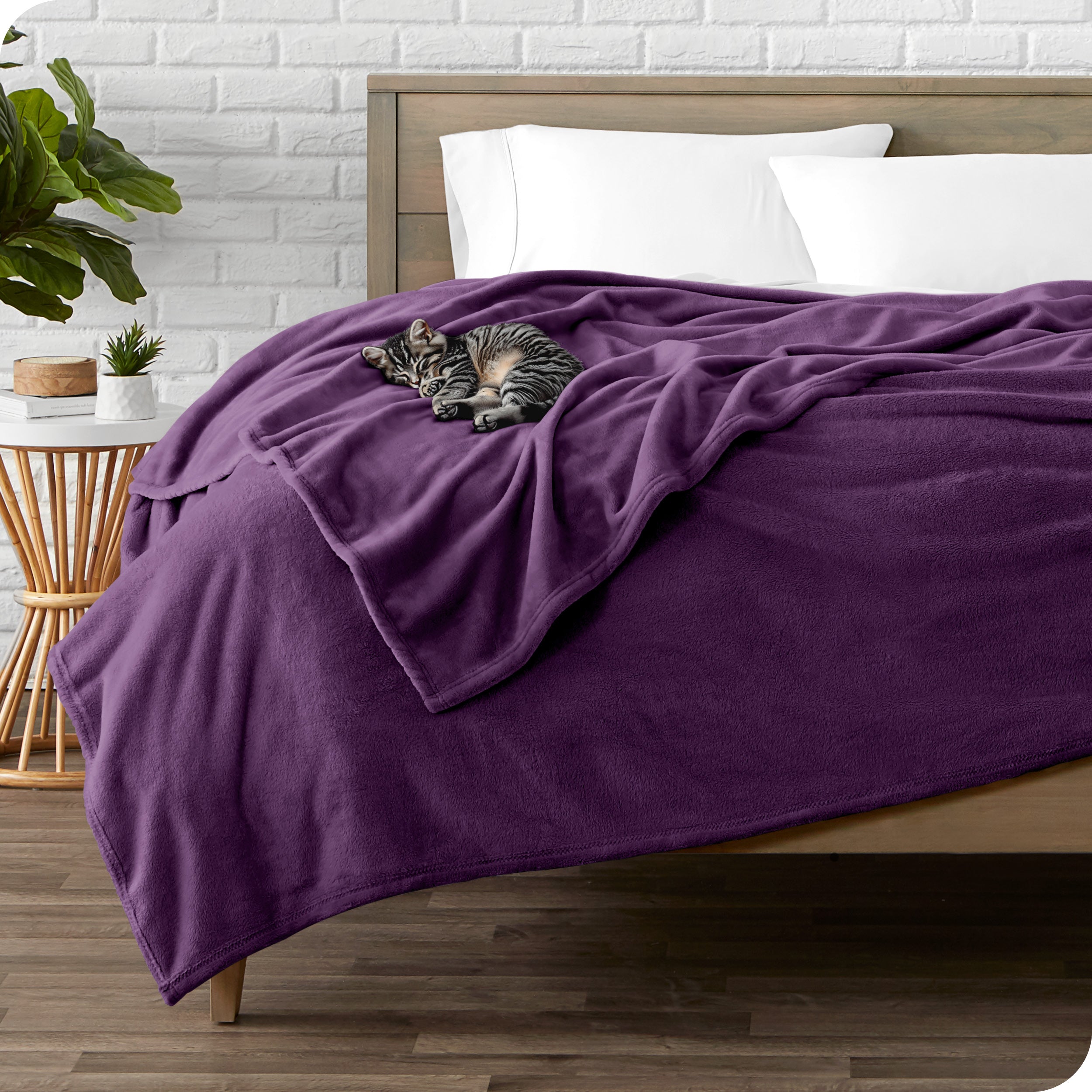 Microplush blanket laid out over a bed and folded back over itself