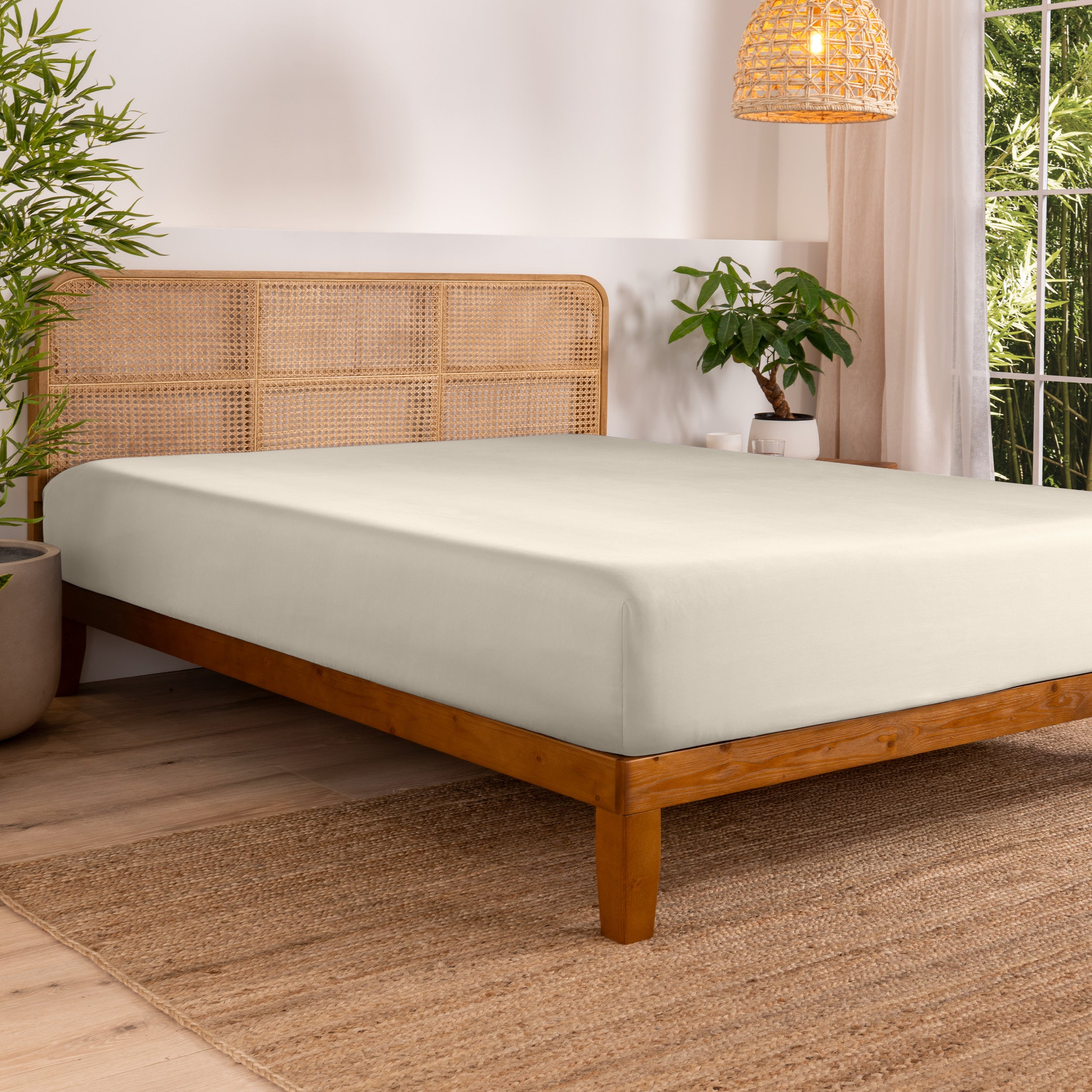 Bed with fitted sheet in a bedroom setting with plants and a lamp.