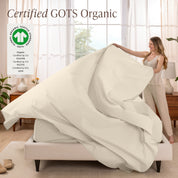 Organic Cotton Percale Sheet Set - Twin XL