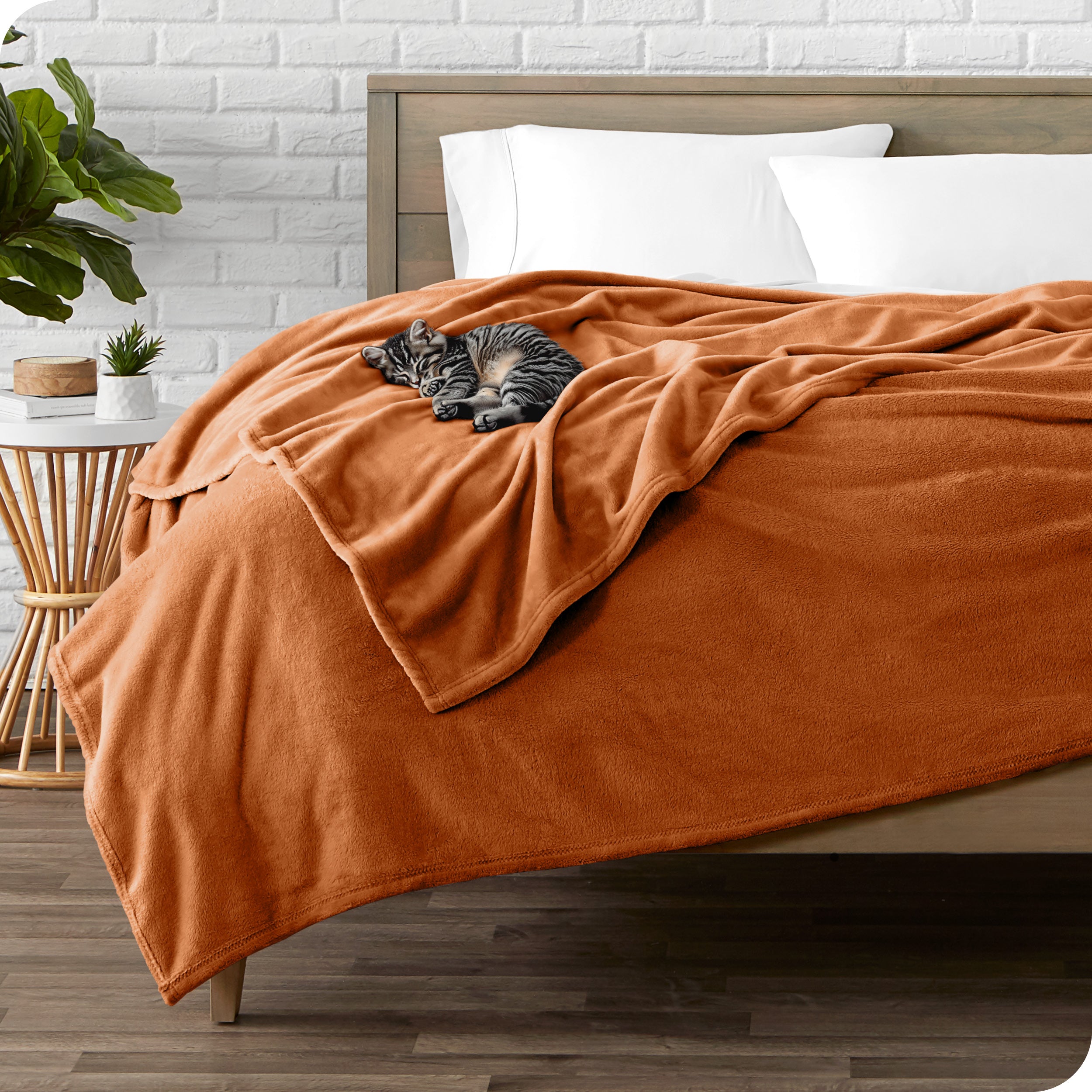 Microplush blanket laid out over a bed and folded back over itself