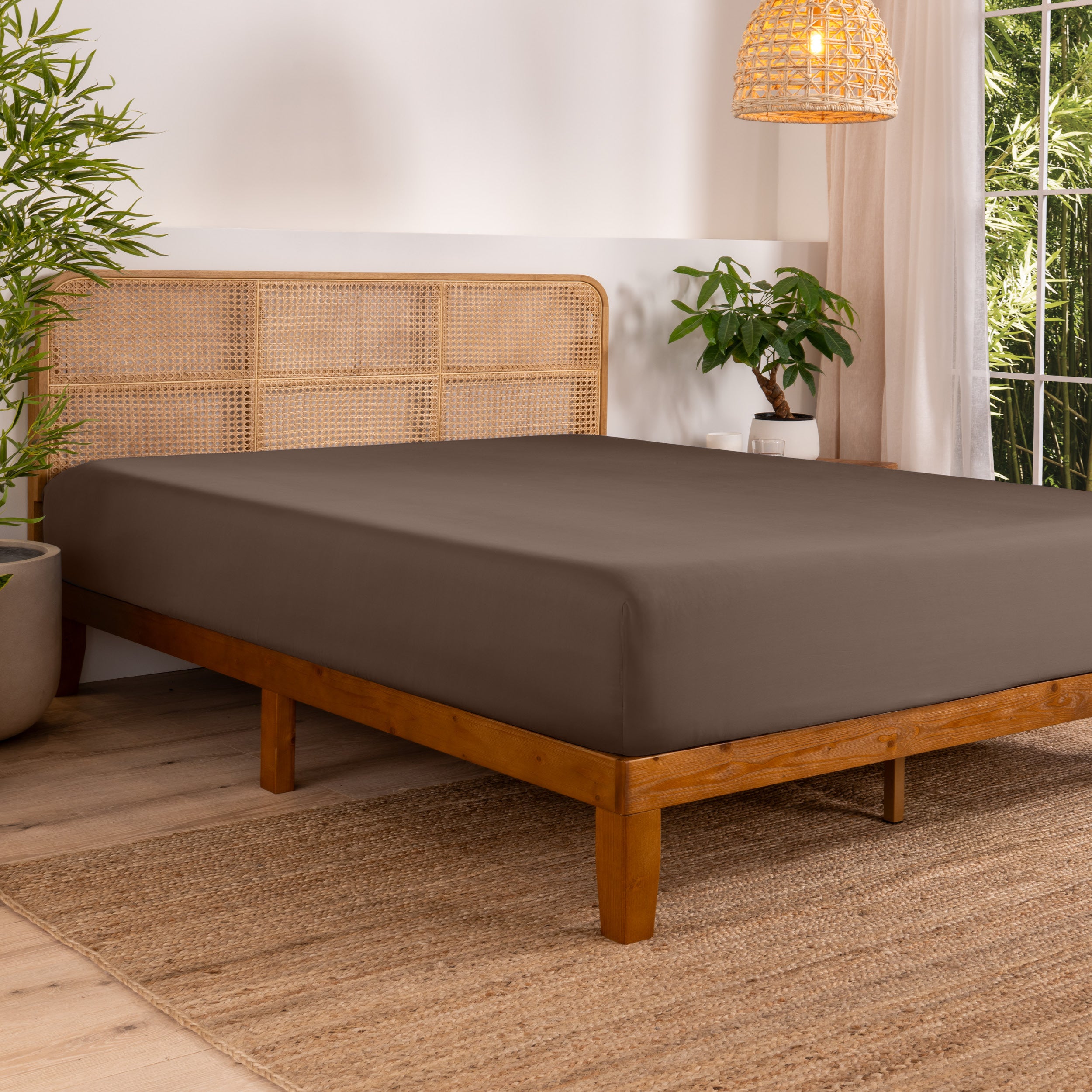 Bed with fitted sheet in a bedroom setting with plants and a lamp.