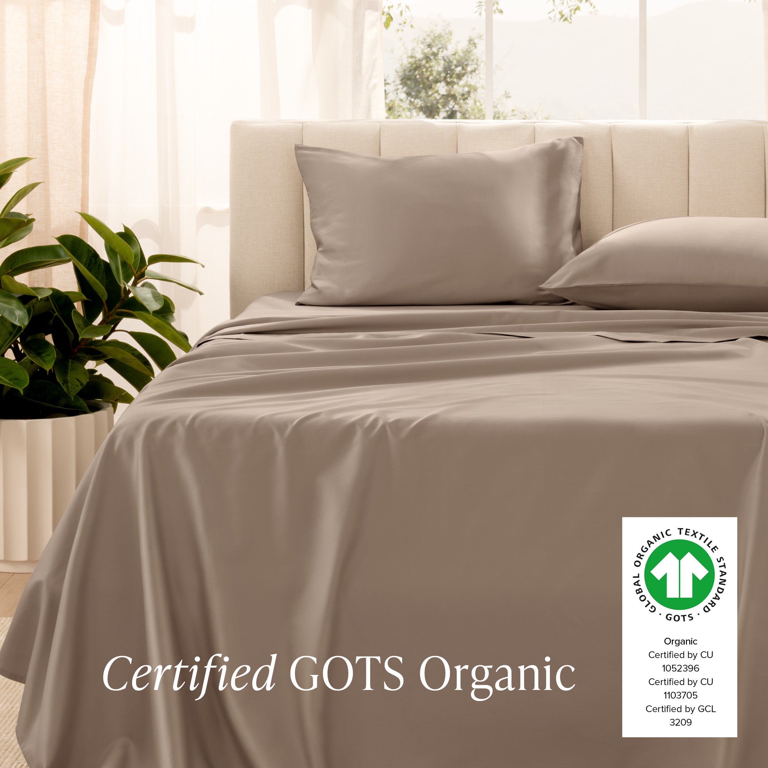 Certified GOTS Organic sheet set