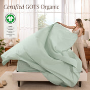 Organic Cotton Percale Sheet Set - Twin XL