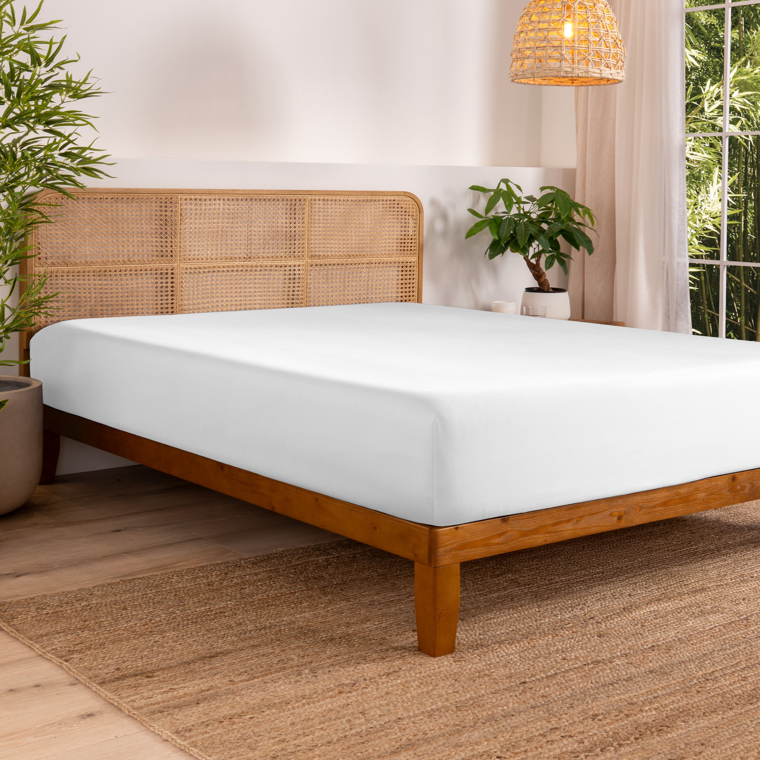 Bed with fitted sheet in a bedroom setting with plants and a lamp.