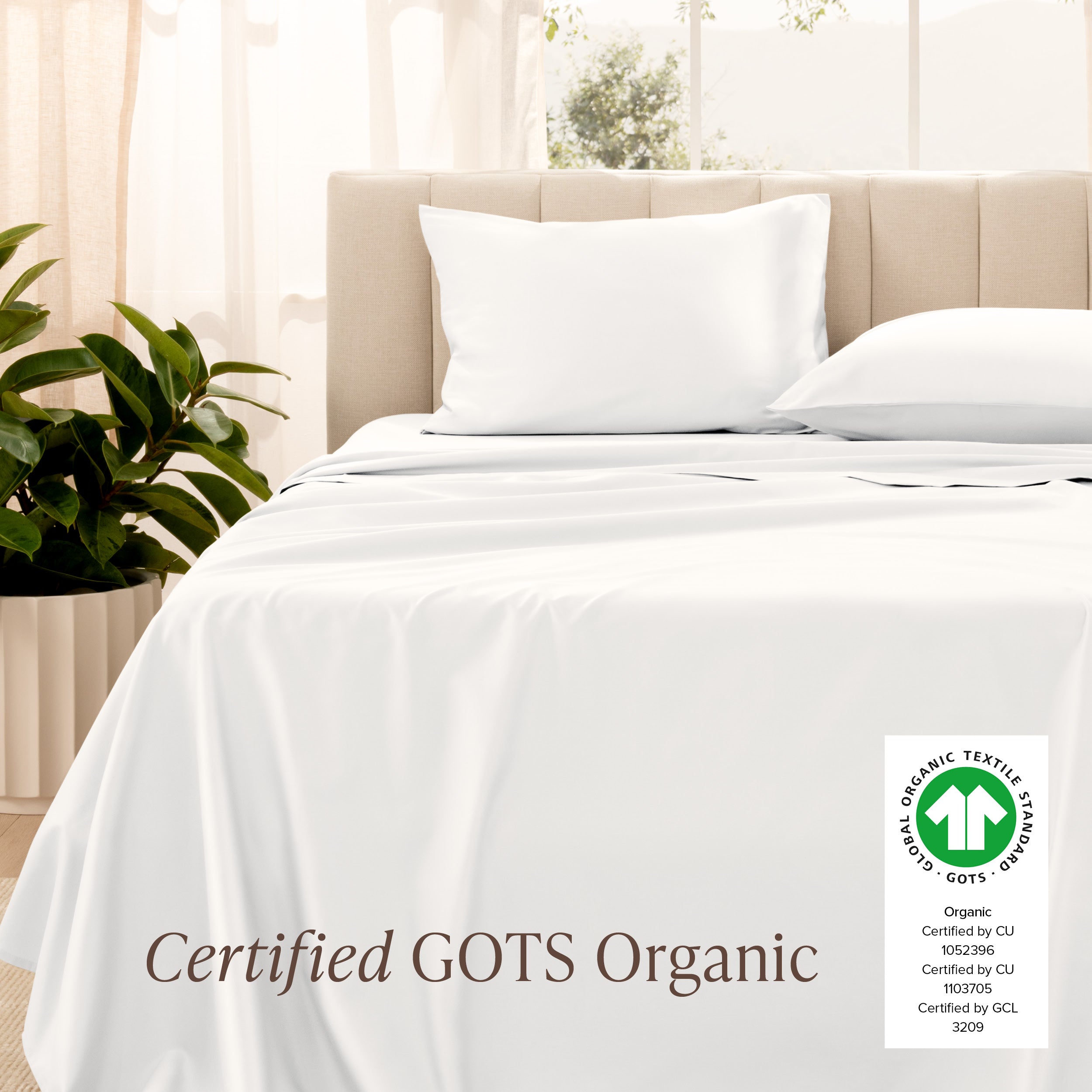 Certified GOTS Organic sheet set