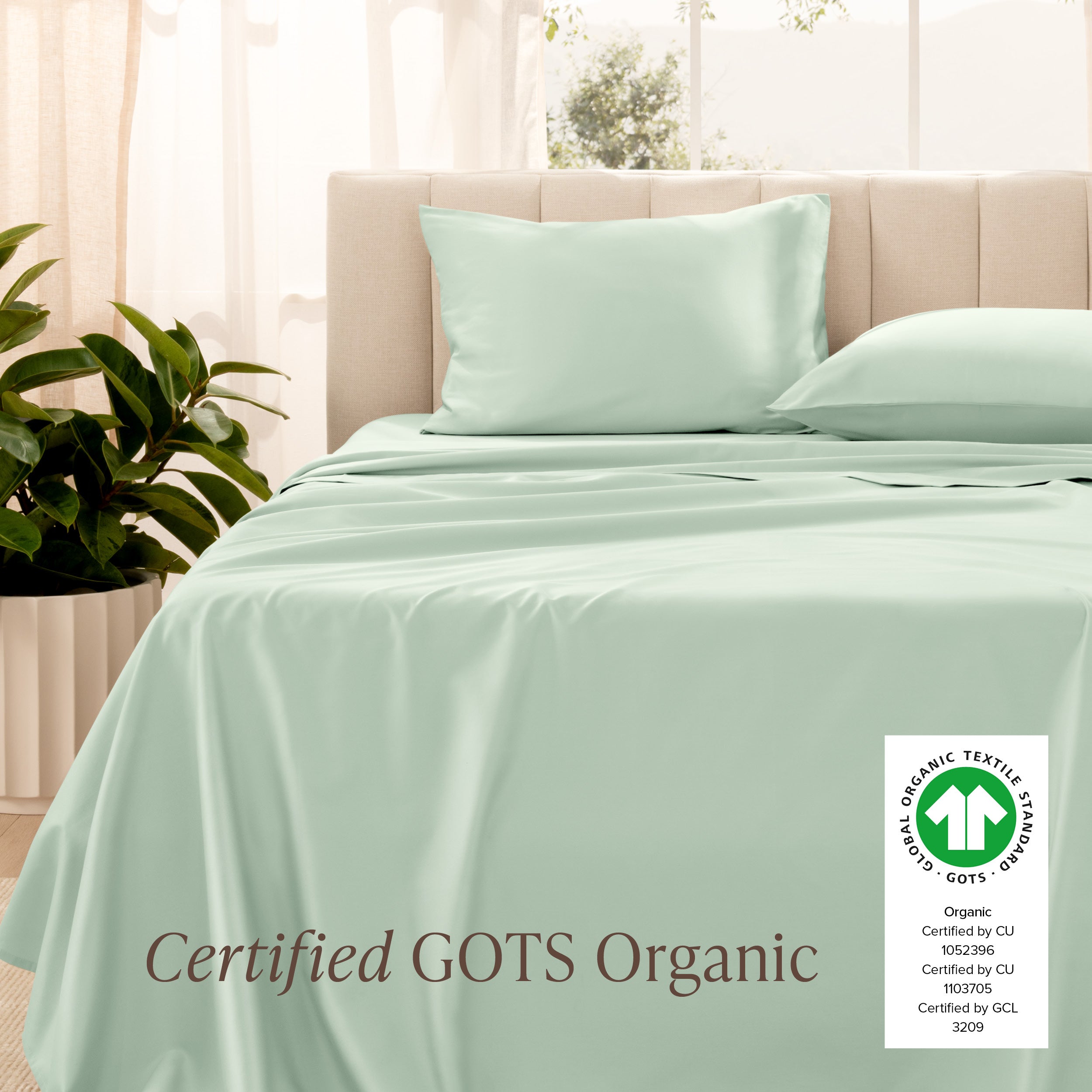 Certified GOTS Organic sheet set